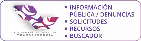 BUSCADOR, CONSULTAS, DENUNCIAS